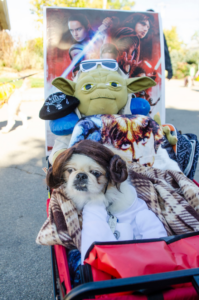 Humane Society’s Pet Expo returns in October